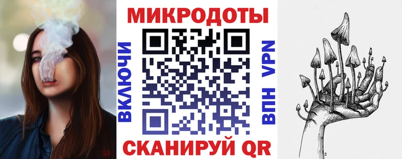 Галлюциногенные грибы Psilocybe  Кизилюрт 