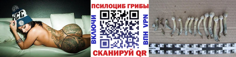 Галлюциногенные грибы GOLDEN TEACHER Кизилюрт